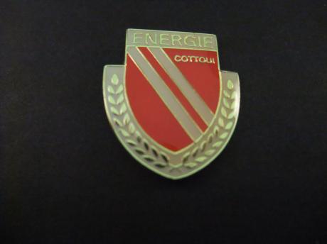 Energie Cottbus Duitse voetbalclub 2. Bundesliga